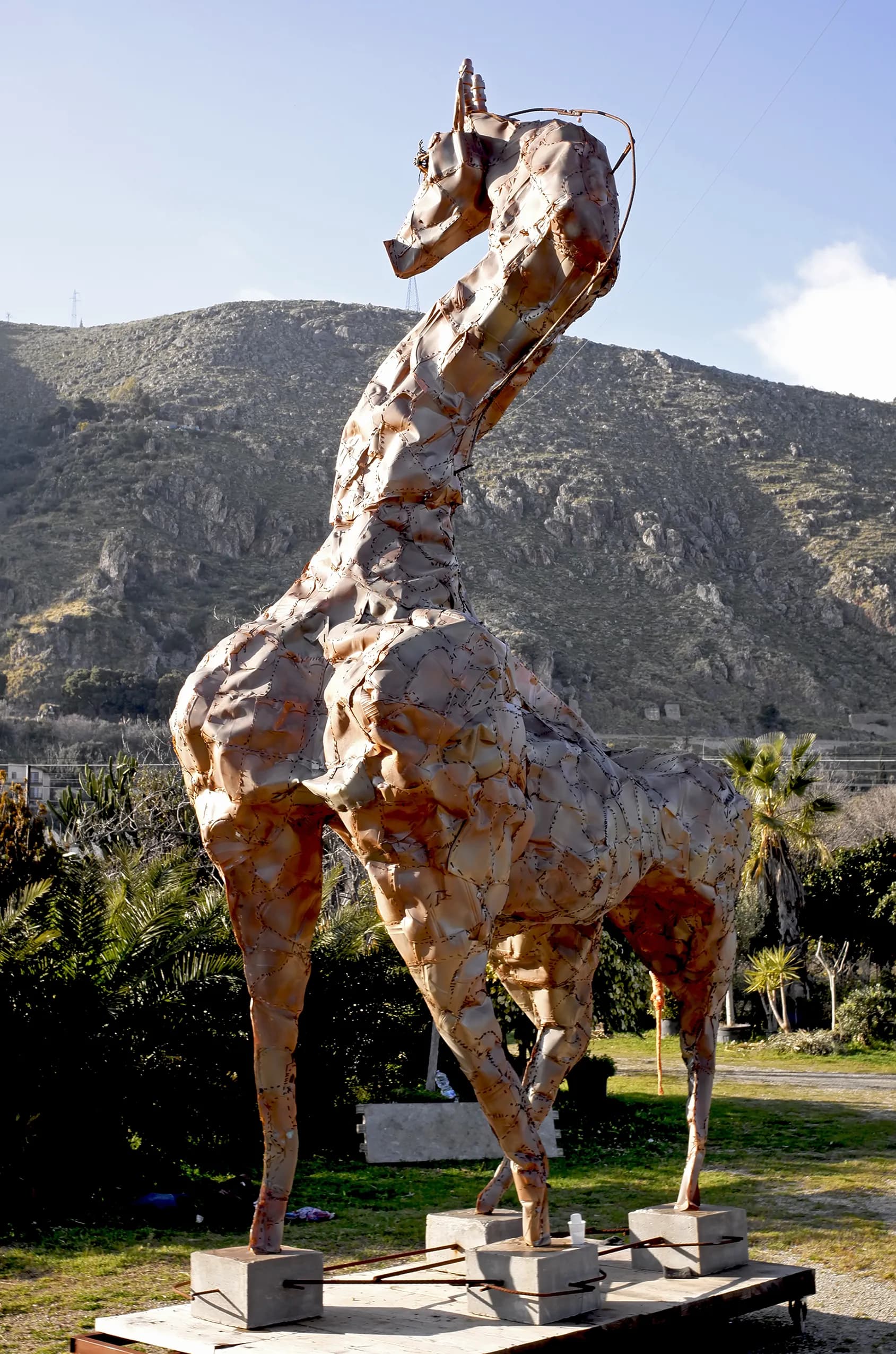 Earth Under Your Feet - Giraffe